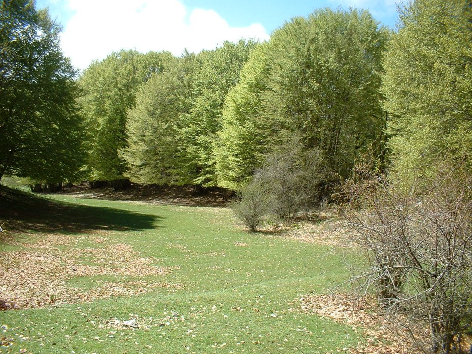 parco dei monti simbruini